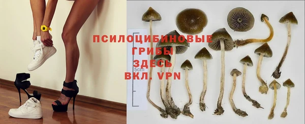 соль ск Алзамай