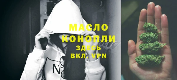 дмт Алексин
