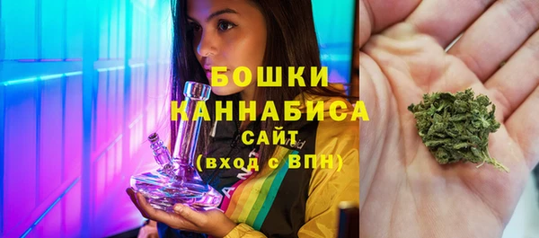 прущие грибы Протвино